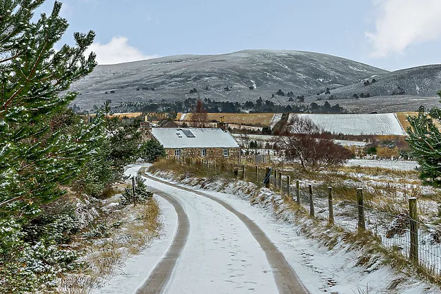 Ellon Cottage