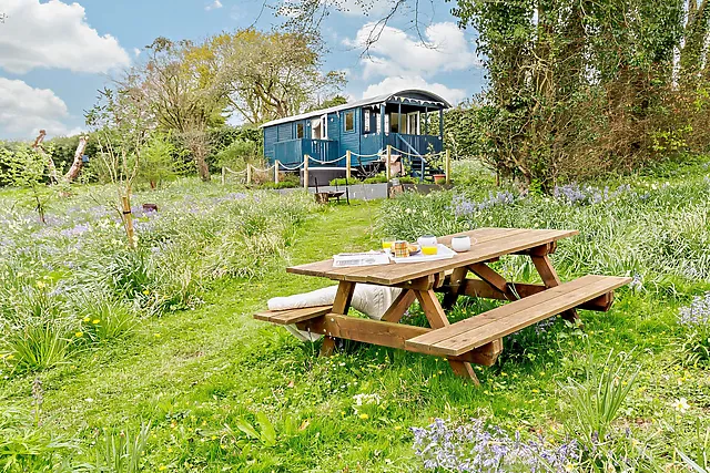 Daffodil Hut