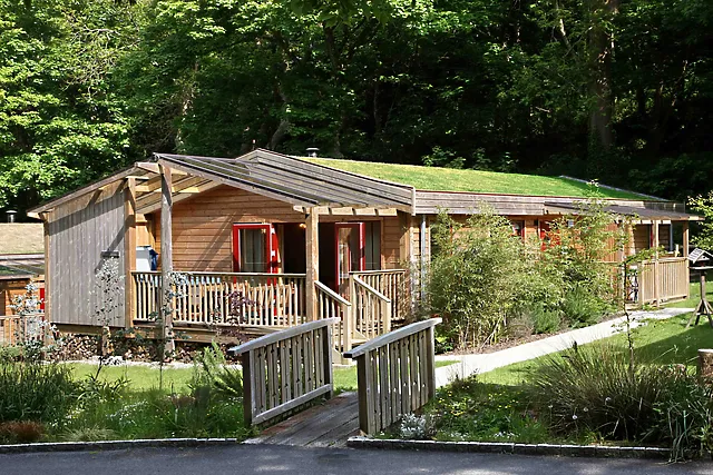 Cuckoo At Rosehill Lodges