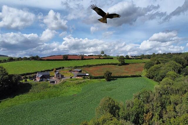 Beacons View Farm Cottages