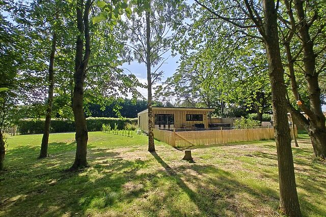 Chestnut at Toppesfield Hall