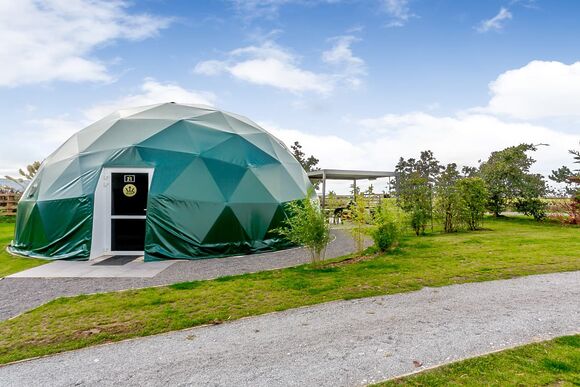 The Love Dome (Pet) - Angrove Country Park, Great Ayton, Yorkshire Moors and Coast