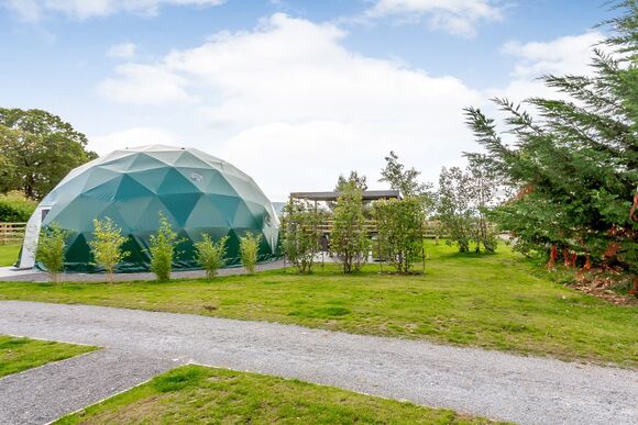 The Love Dome (Pet) - Angrove Country Park, Great Ayton, Yorkshire Moors and Coast