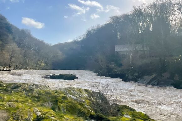 Cenarth Falls Resort, Newcastle Emlyn