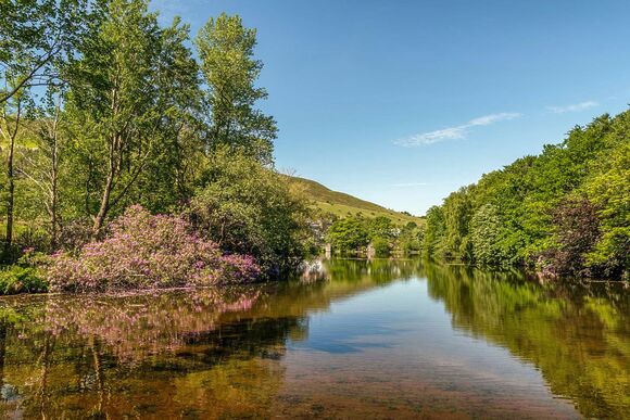 Dovestone Pod (Pet) - Dovestone Holiday Park, Greenfield