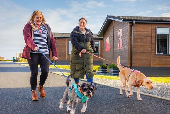 Fairground Pet Friendly Lodge - Folly Farm Holiday Park, Kilgetty