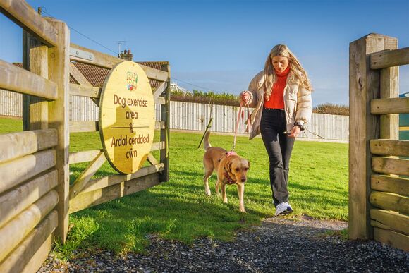 Fairground Pet Friendly Lodge - Folly Farm Holiday Park, Kilgetty