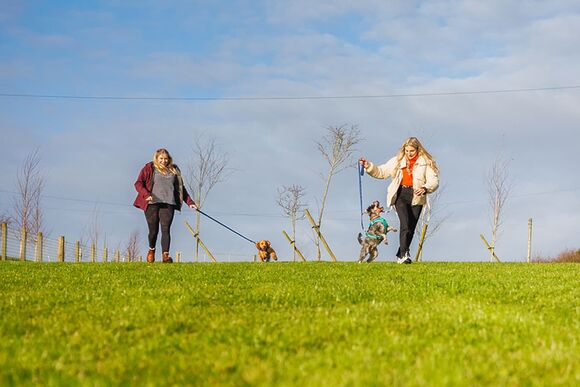 Fairground Pet Friendly Lodge - Folly Farm Holiday Park, Kilgetty