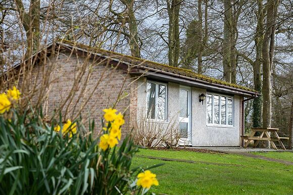 Silver 2 Bed 4 Berth Bungalow - Hengar Manor Country Park, St Tudy, Bodmin