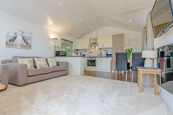 Cherry Tree Lodge - Herons Brook Retreat Lodges, Narberth, Nr Tenby