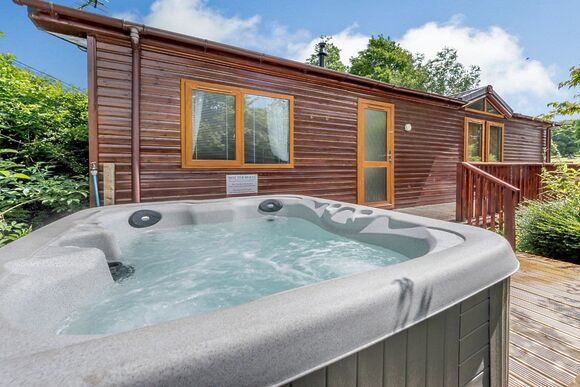 Hornbeam Lodge 2 - Herons Brook Retreat Lodges, Narberth, Nr Tenby