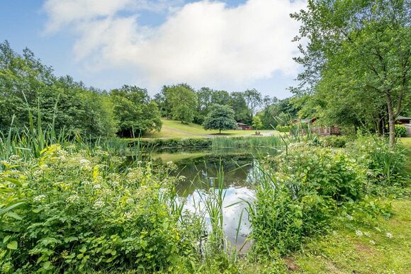 Hornbeam Lodge 2 - Herons Brook Retreat Lodges, Narberth, Nr Tenby