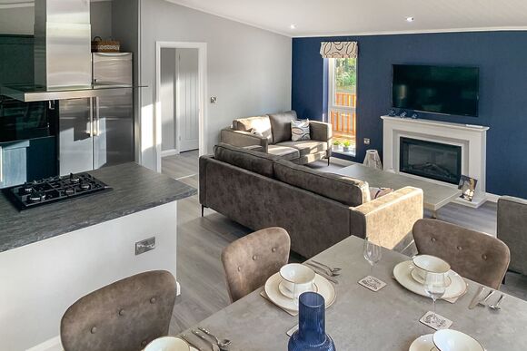 Comfort Plus Lodge 6 - Holmans Wood, Chudleigh