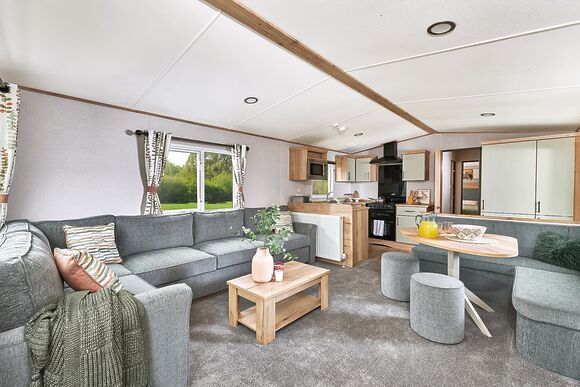 Comfort Caravan 6 - Holmans Wood, Chudleigh