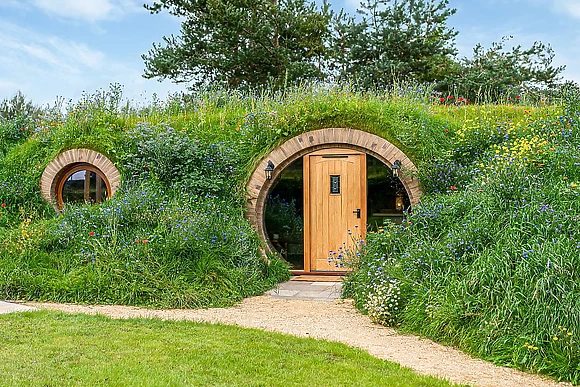 Meadow and Nest Burrow - Luckington Burrows, Frome