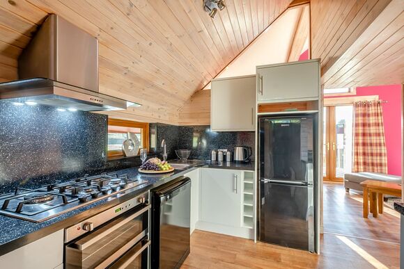 Mabie Valley Lodge Pet - Nunland Hillside Lodges, Dumfries, Dumfries & Galloway