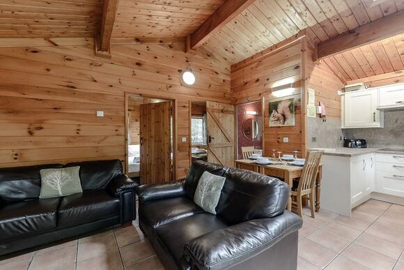 Squirrel Log Cabin 4 (Pet) - Quarry Walk Lodges, Freehay, Cheadle