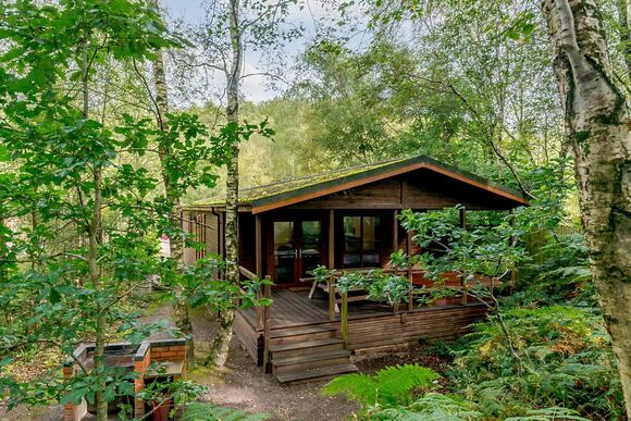 Fox Lodge 6 (Pet) - Quarry Walk Lodges, Freehay, Cheadle