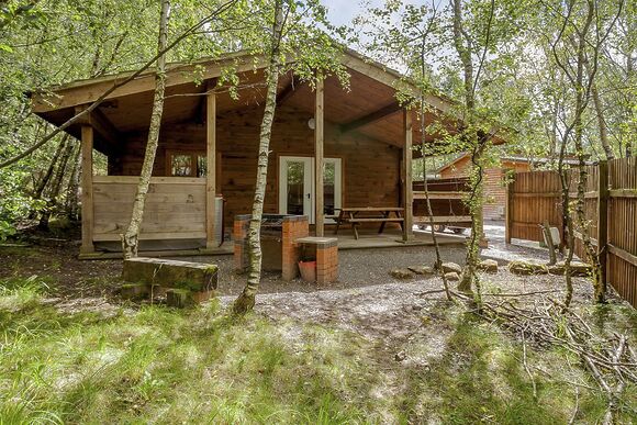 Badger Plus (Pet) - Quarry Walk Lodges, Freehay, Cheadle