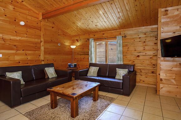 Badger Plus (Pet) - Quarry Walk Lodges, Freehay, Cheadle