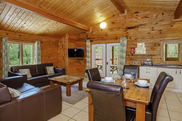 Badger Plus (Pet) - Quarry Walk Lodges, Freehay, Cheadle