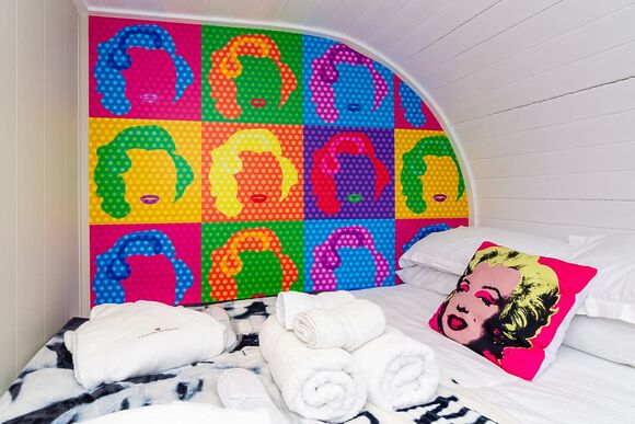 Pop Art Pod (Pet) - Ullswater Heights, Greystoke, Nr Penrith