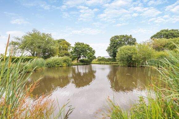 Wigmore Hill View - Wigmore Lakes Lodges, Wattleborough, Nr Shrewsbury