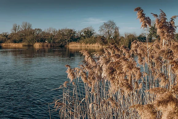 Woodlakes Country Park, King’s Lynn