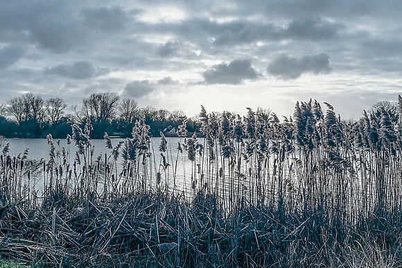 Woodlakes Country Park, King’s Lynn