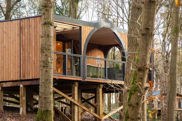 Foxglove Treehouse - Woodland Park Lodges, Ellesmere