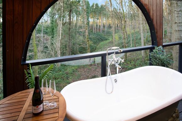 Foxglove Treehouse - Woodland Park Lodges, Ellesmere