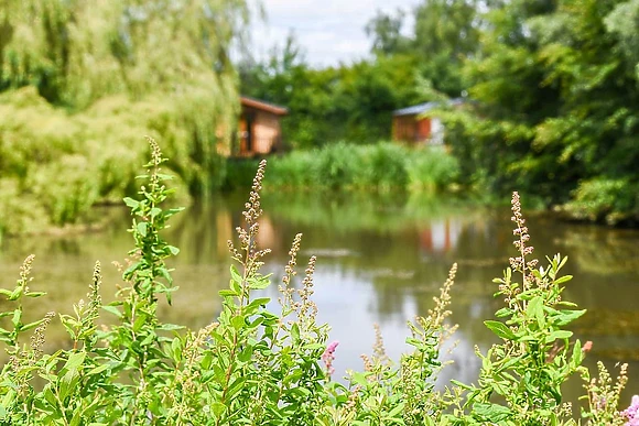 Vale of York Country Park, Strensall, near York