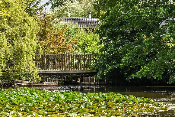 Vale of York Country Park, Strensall, near York